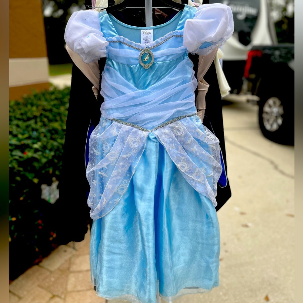 Disney Princess Dress 5/6